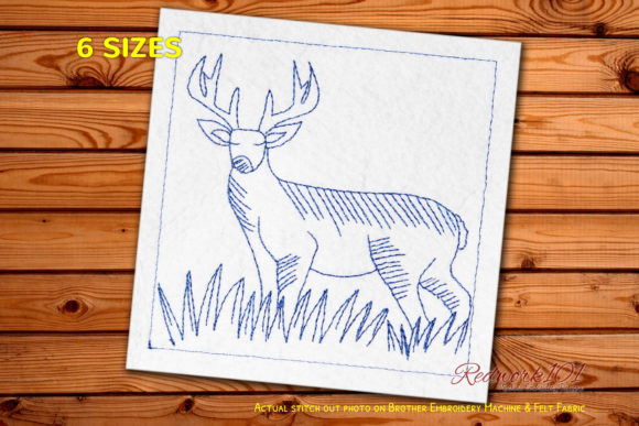 Review: Beautiful Deer Standing on the Grass