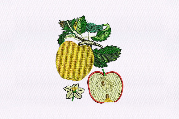 Reviewing Apple and Half Apple for Embroidery